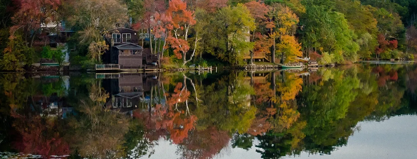 boats docked by the water